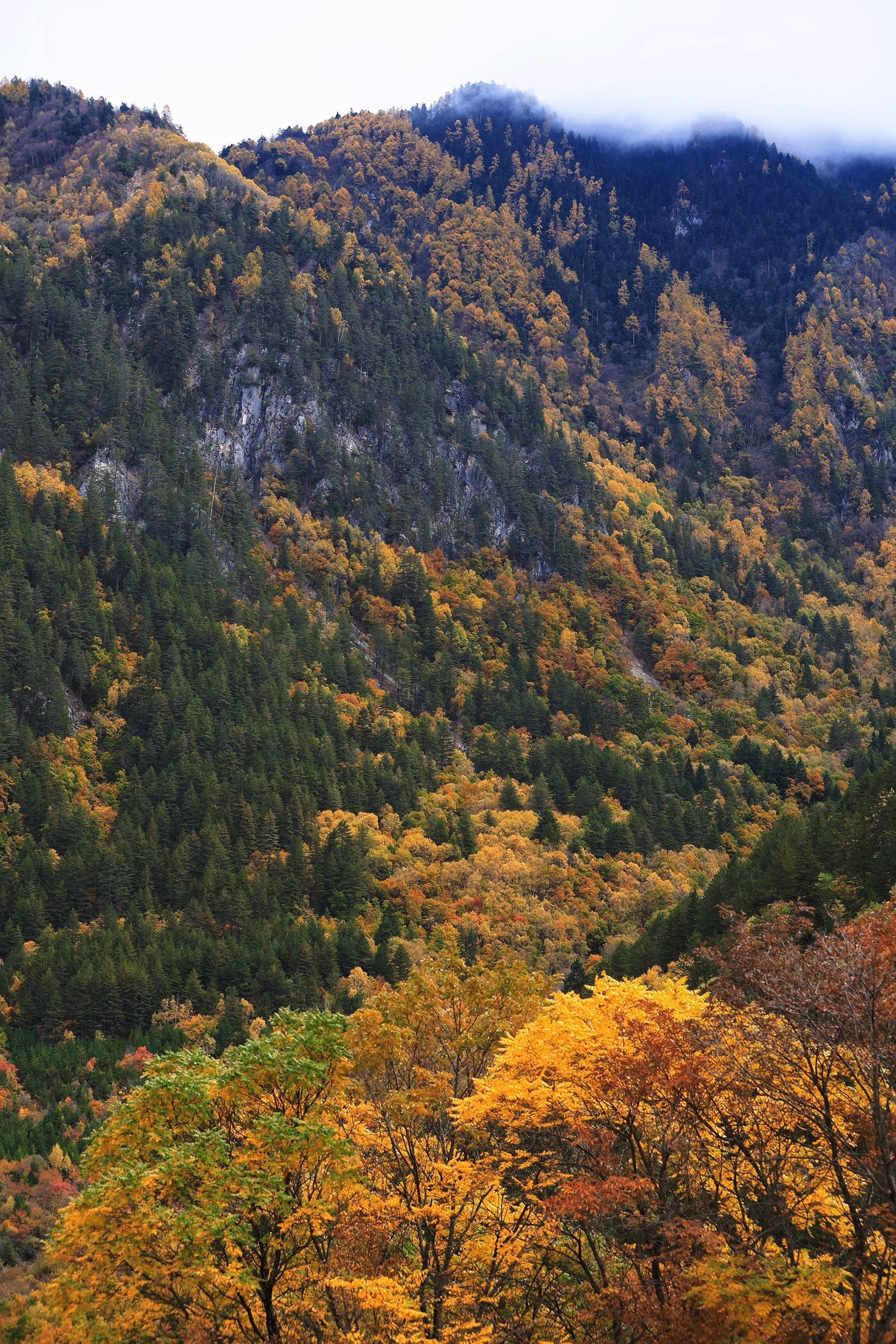 四川阿坝九寨沟的秋天照片 14