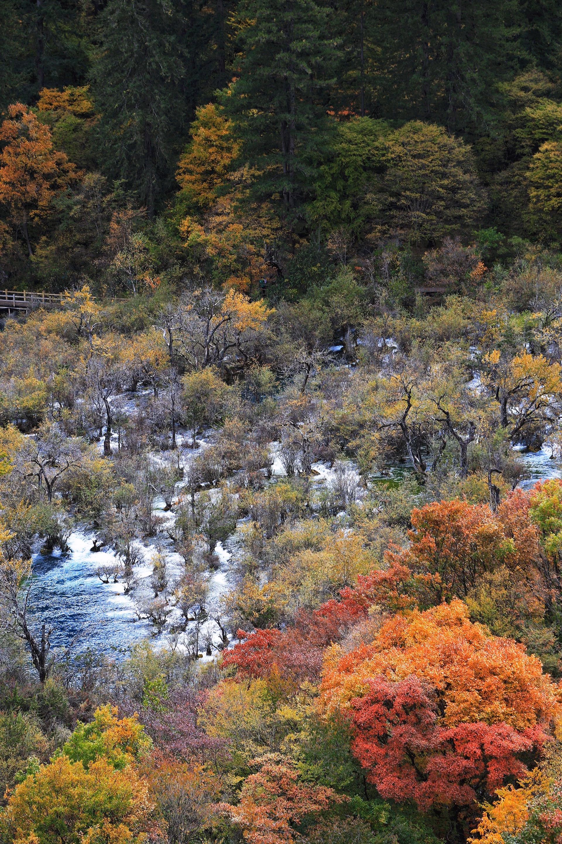 四川阿坝九寨沟的秋天照片 16