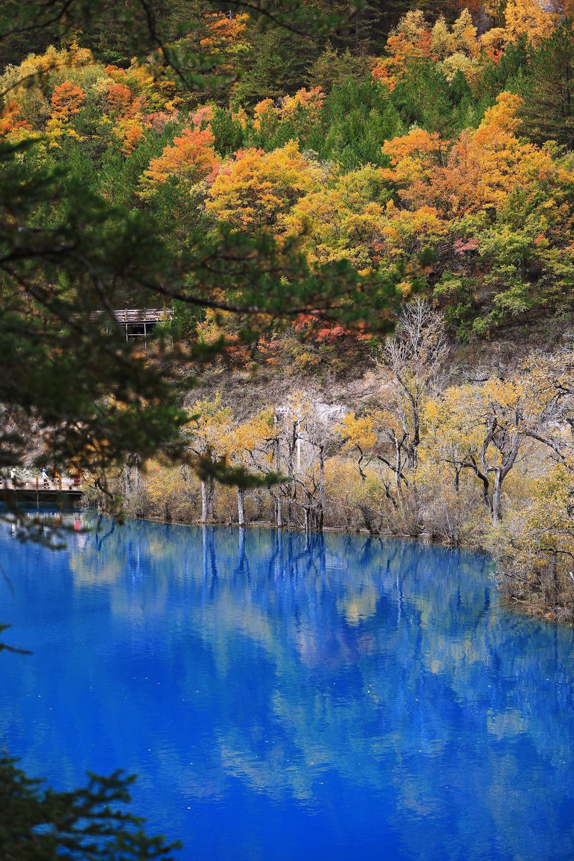 四川阿坝九寨沟的秋天照片 30