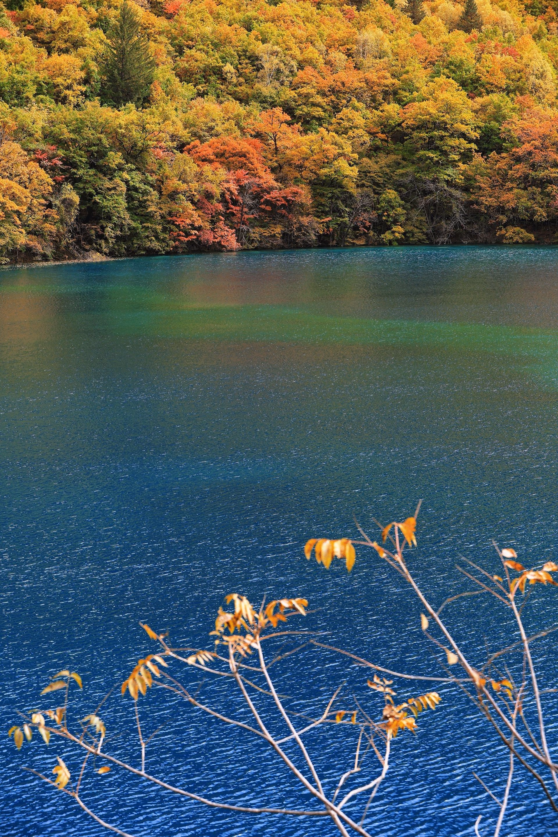 四川阿坝九寨沟的秋天照片 41