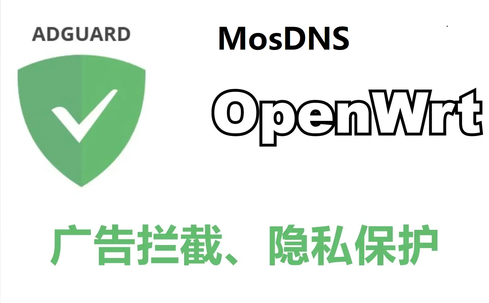 MosDNS 和 Adguard Home 双 DNS 的使用